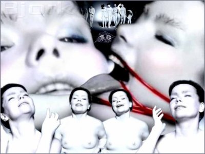 Björk 01.jpg